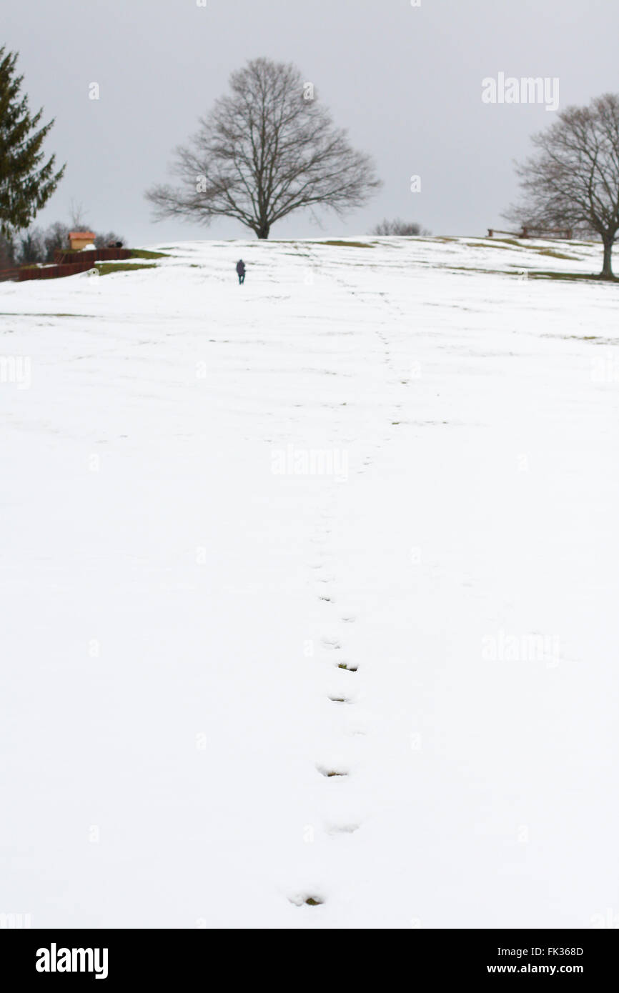 Human footprints in the snow Stock Photo - Alamy