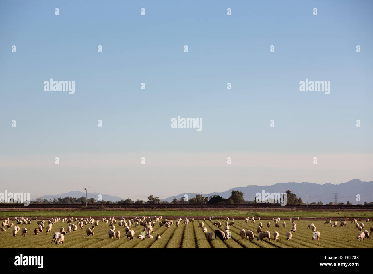 Imperial valley hires stock photography and images Alamy