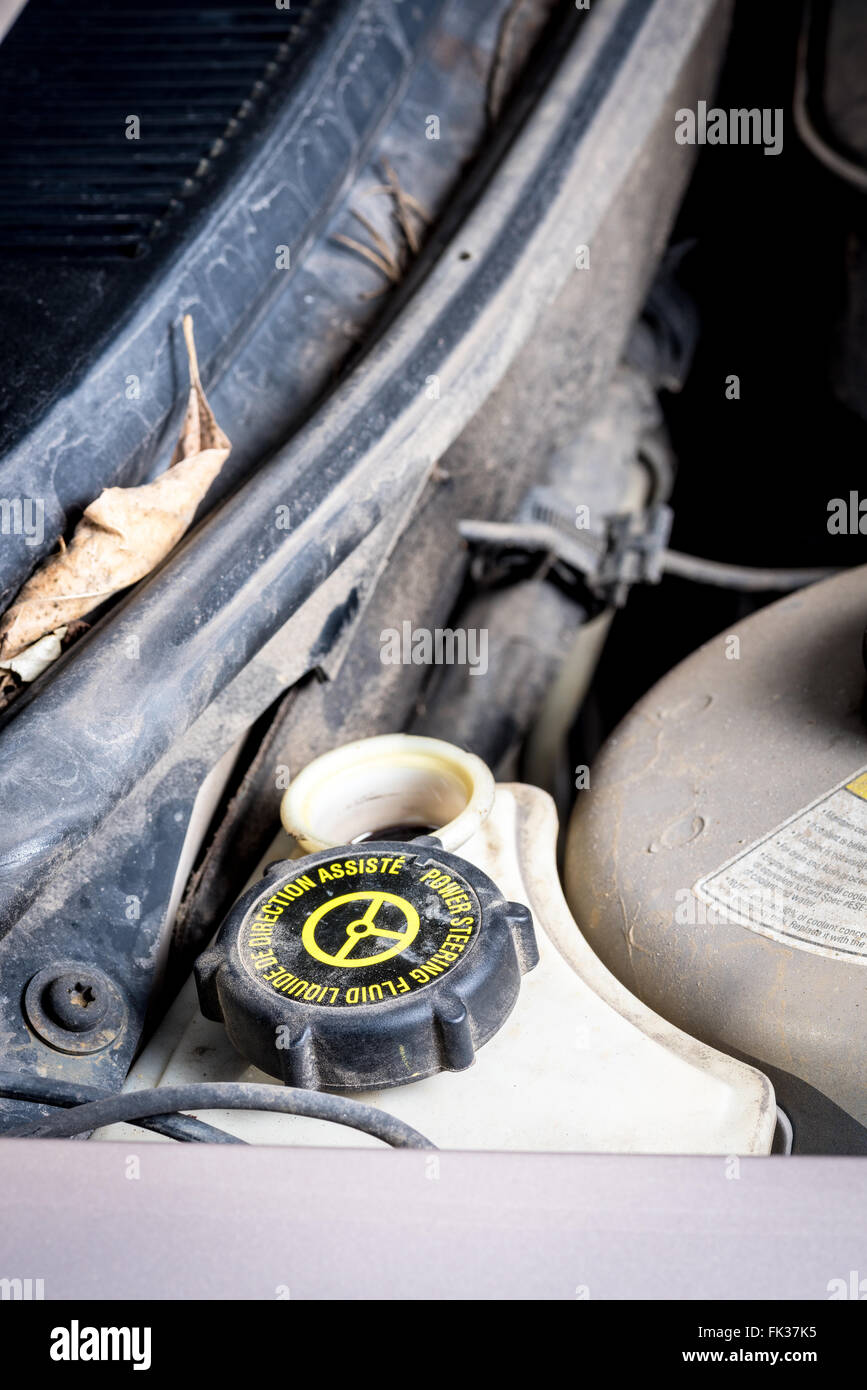 Power steering cap hires stock photography and images Alamy