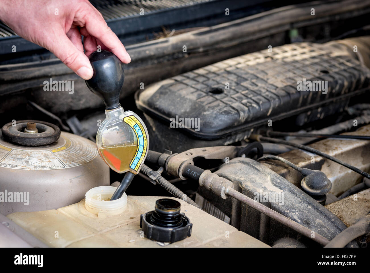 Chief mechanic tests the anti freeze in a car Stock Photo