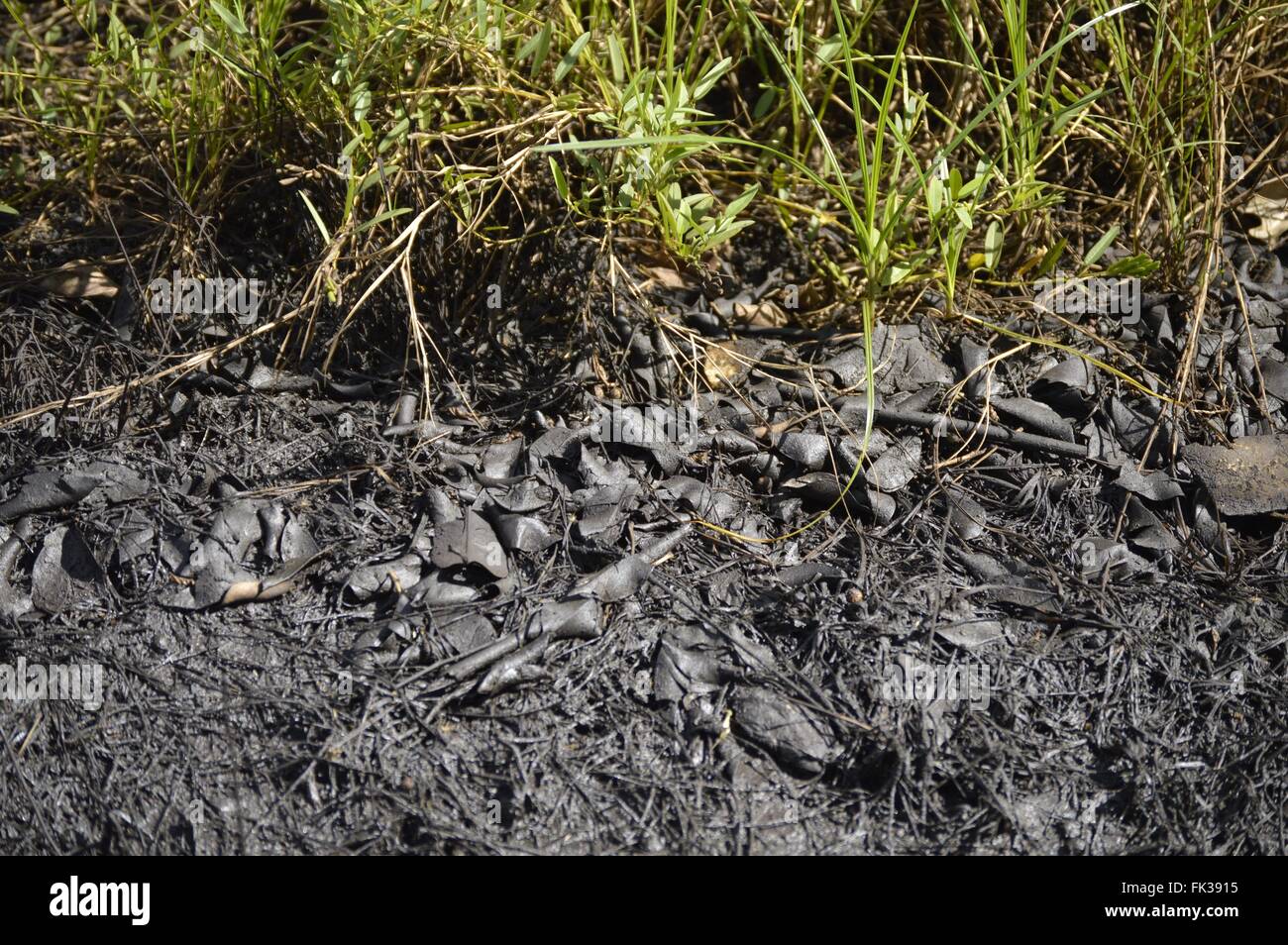 Industrial oilcontaminated soil Stock Photo Alamy