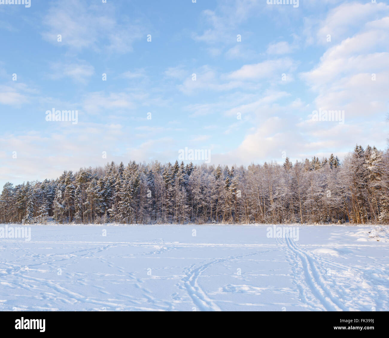 Frozen lake and snow covered forest Stock Photo - Alamy