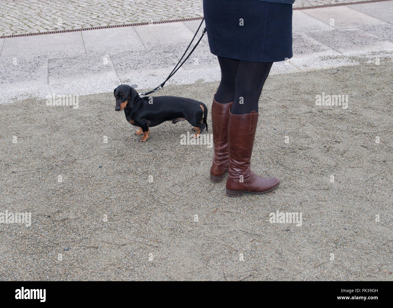 Dog Woman. Berlin, Germany. Stock Photo
