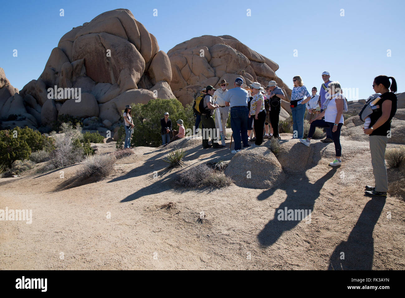 Ranger led tour, Jumbo Rocks, Joshua Tree National Park, California, USA Stock Photo