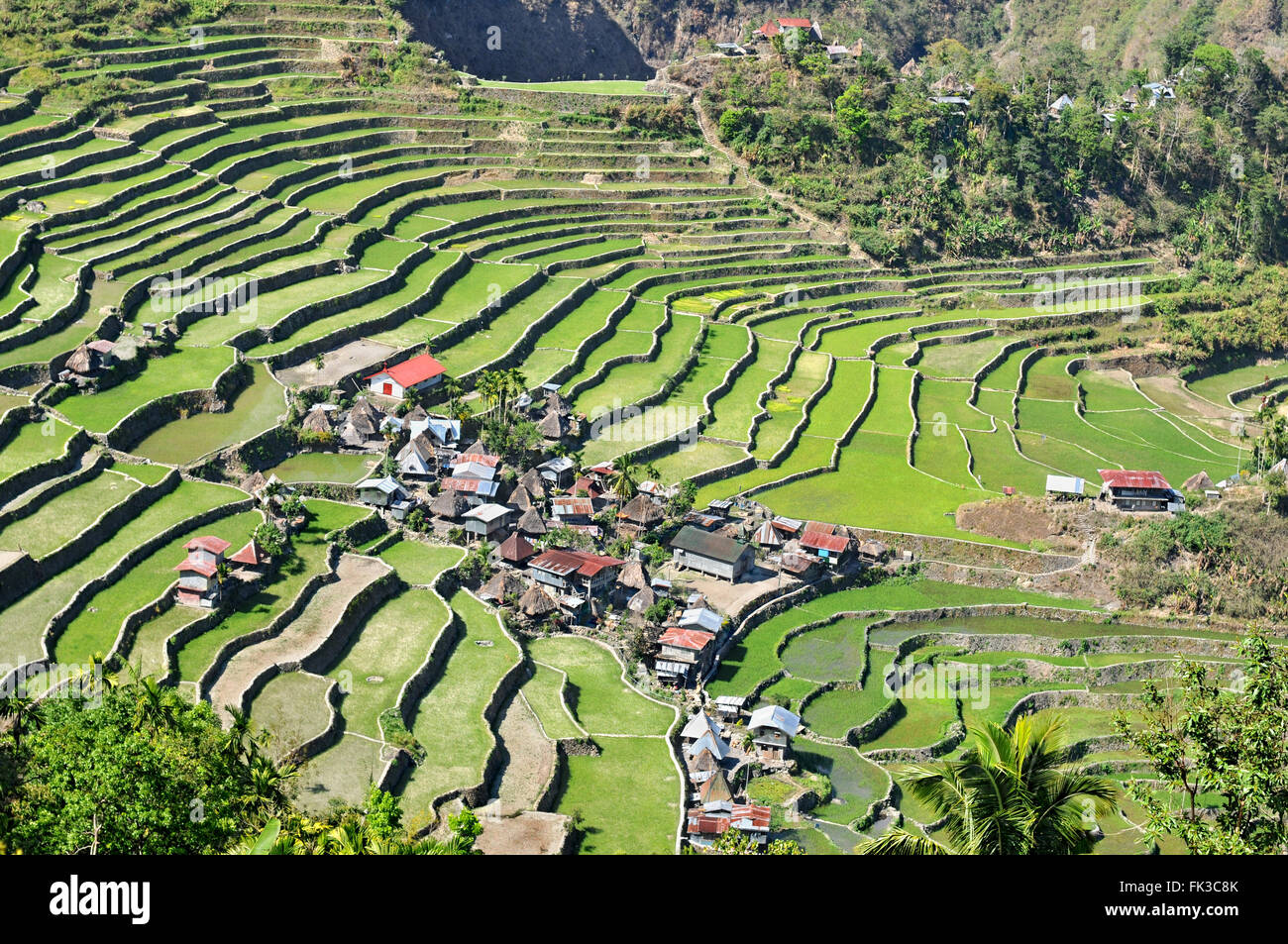 The Beautiful Batad Rice Terraces In Ifugao, Northern Luzon ...