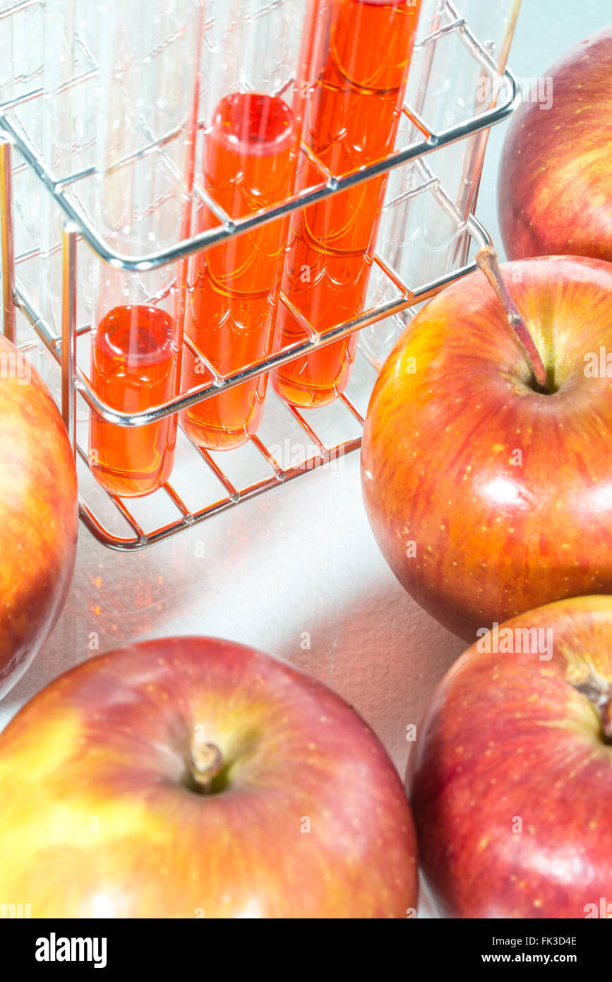 vegetable test, apple, Modification, Scientific Experiment