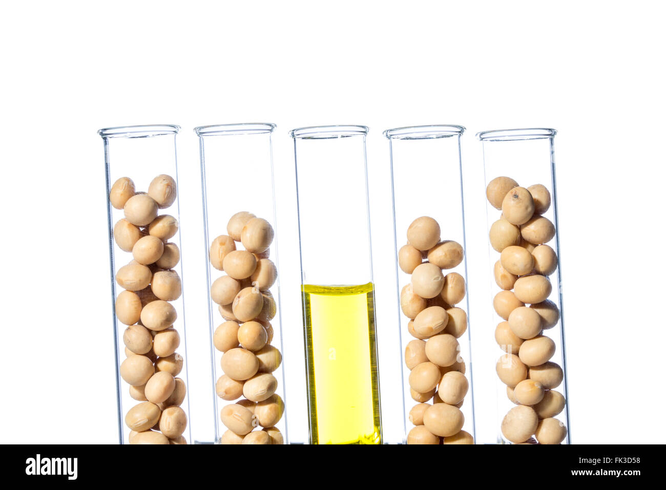 Soybean modified, Plant Cell, laboratory Stock Photo Alamy