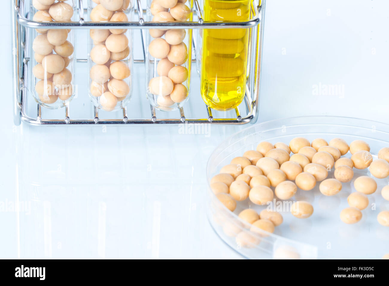 Soybean modified, Plant Cell, laboratory Stock Photo Alamy