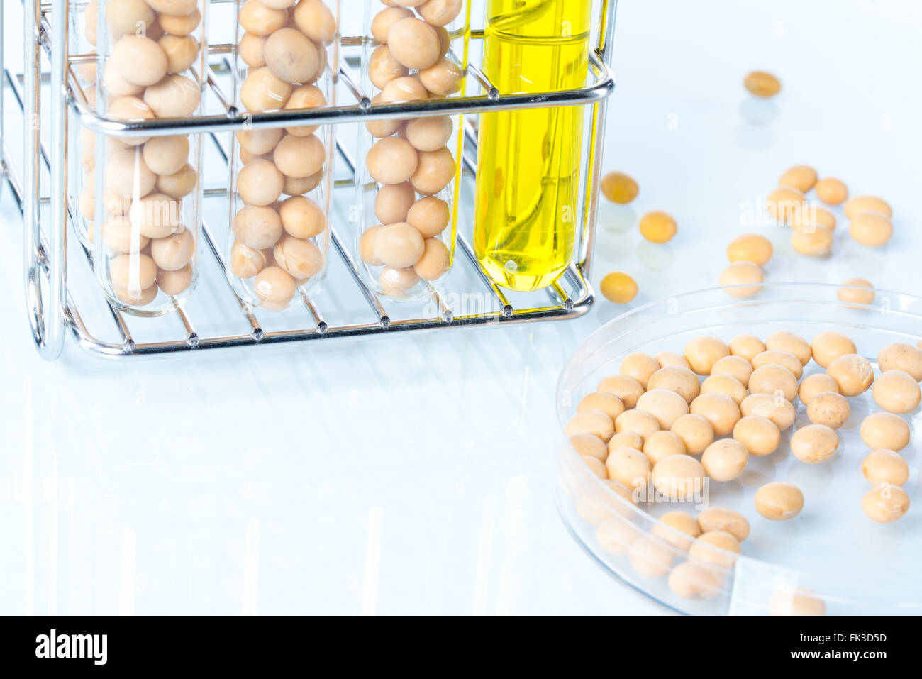 Soybean modified, Plant Cell, laboratory Stock Photo Alamy