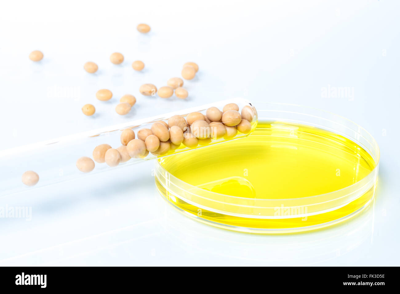 Soybean modified, Plant Cell, laboratory Stock Photo Alamy