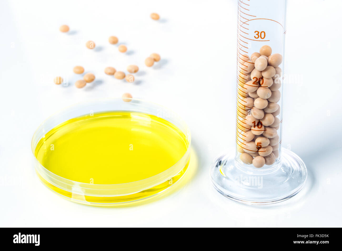 Soybean modified, Plant Cell science Stock Photo Alamy