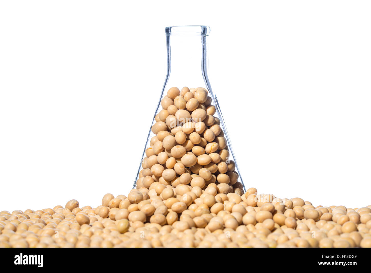Soybean modified, Plant Cell, laboratory Stock Photo Alamy