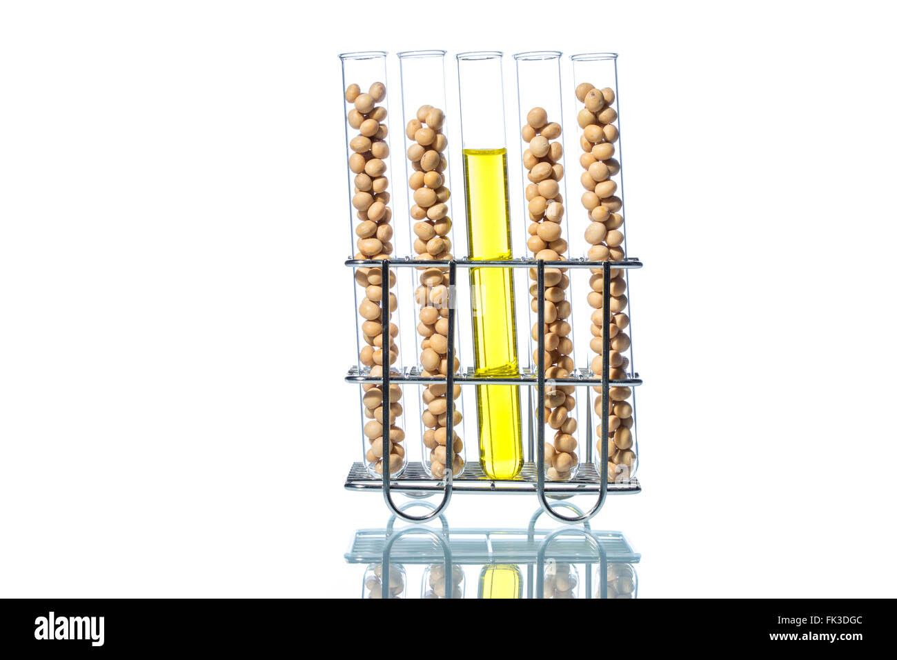 Soybean modified, Plant Cell, laboratory Stock Photo Alamy