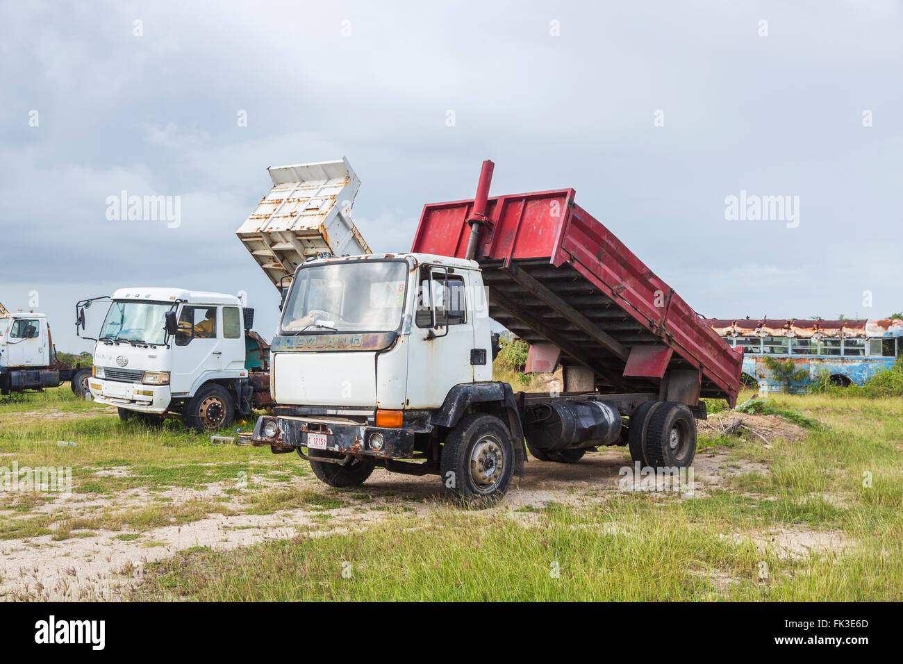 Rusting Leyland tipper truck in Ogg Spencer's Trucking scrapyard, Liberta, south Antigua, Antigua and Barbuda, West Indies Stock Photo