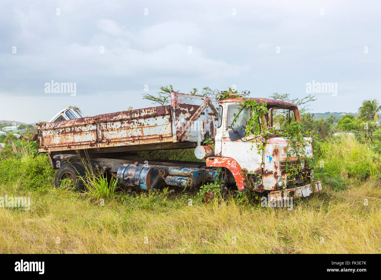 Overgrown Leyland tipper truck in Ogg Spencer's Trucking scrapyard, Liberta, south Antigua, Antigua and Barbuda, West Indies Stock Photo