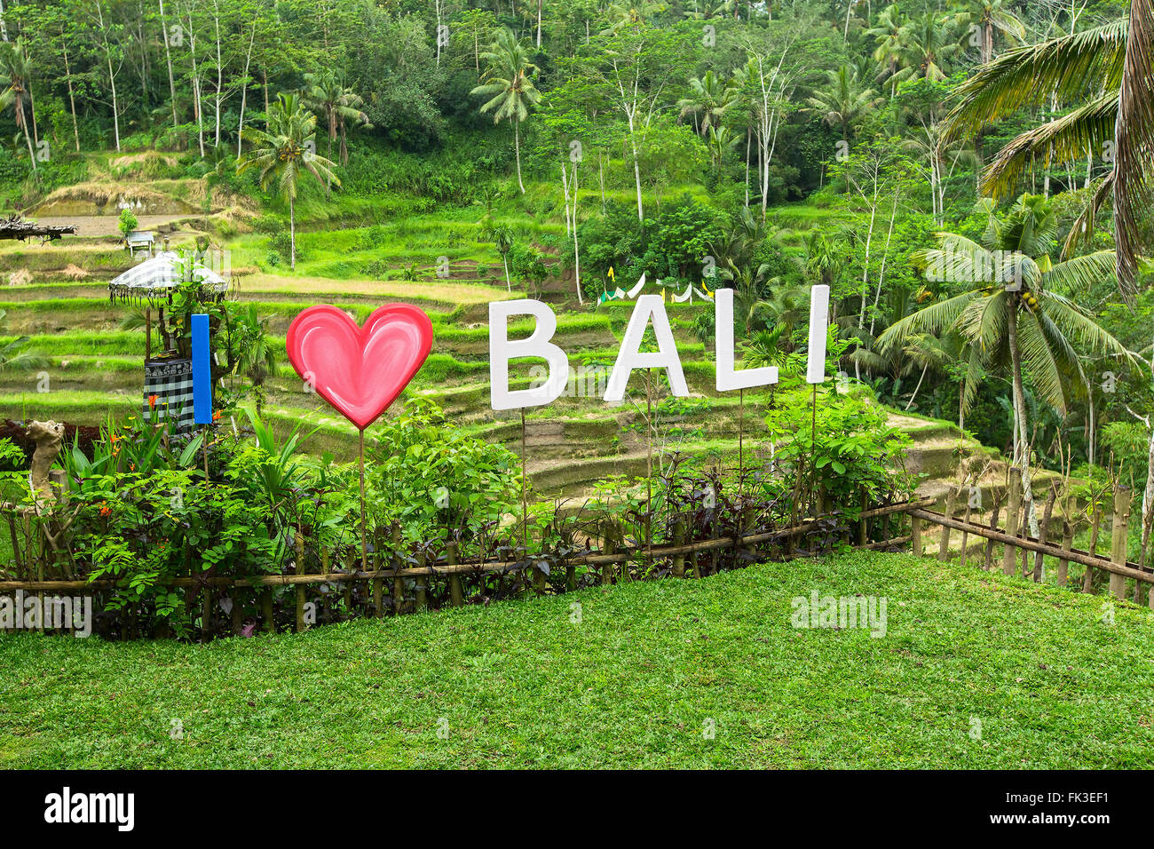 Inscription I Love Bali on the background of green rice terraces. Stock Photo