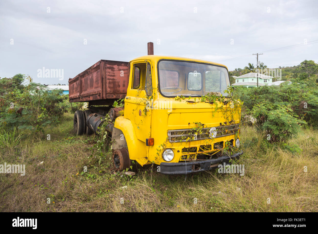 Overgrown, rusting yellow Leyland tipper truck in Ogg Spencer's Trucking scrapyard, Liberta, south Antigua, Antigua and Barbuda Stock Photo