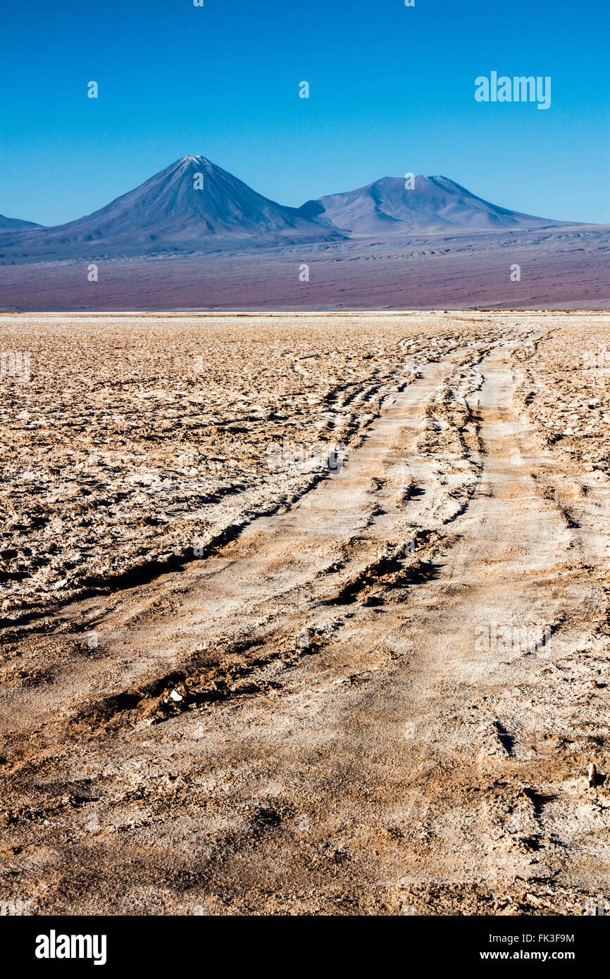 Car Tracks in Atacama Desert Chile Stock Photo