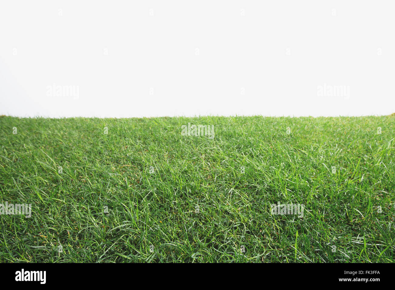 Copy space grass hi-res stock photography and images - Alamy