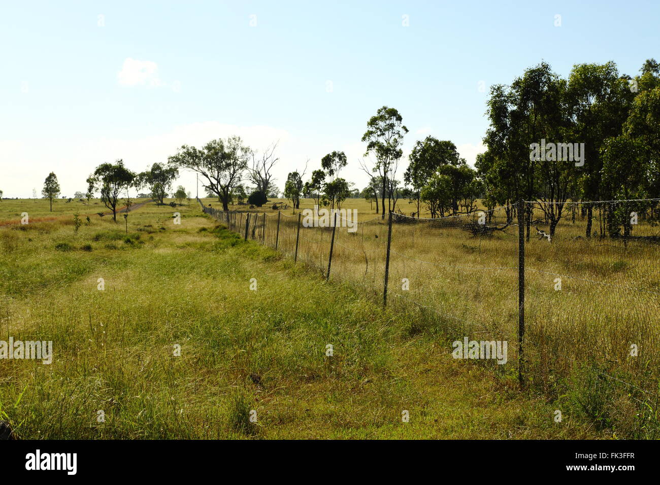 The Dingo Barrier Fence, also called the dog fence, dingo ...