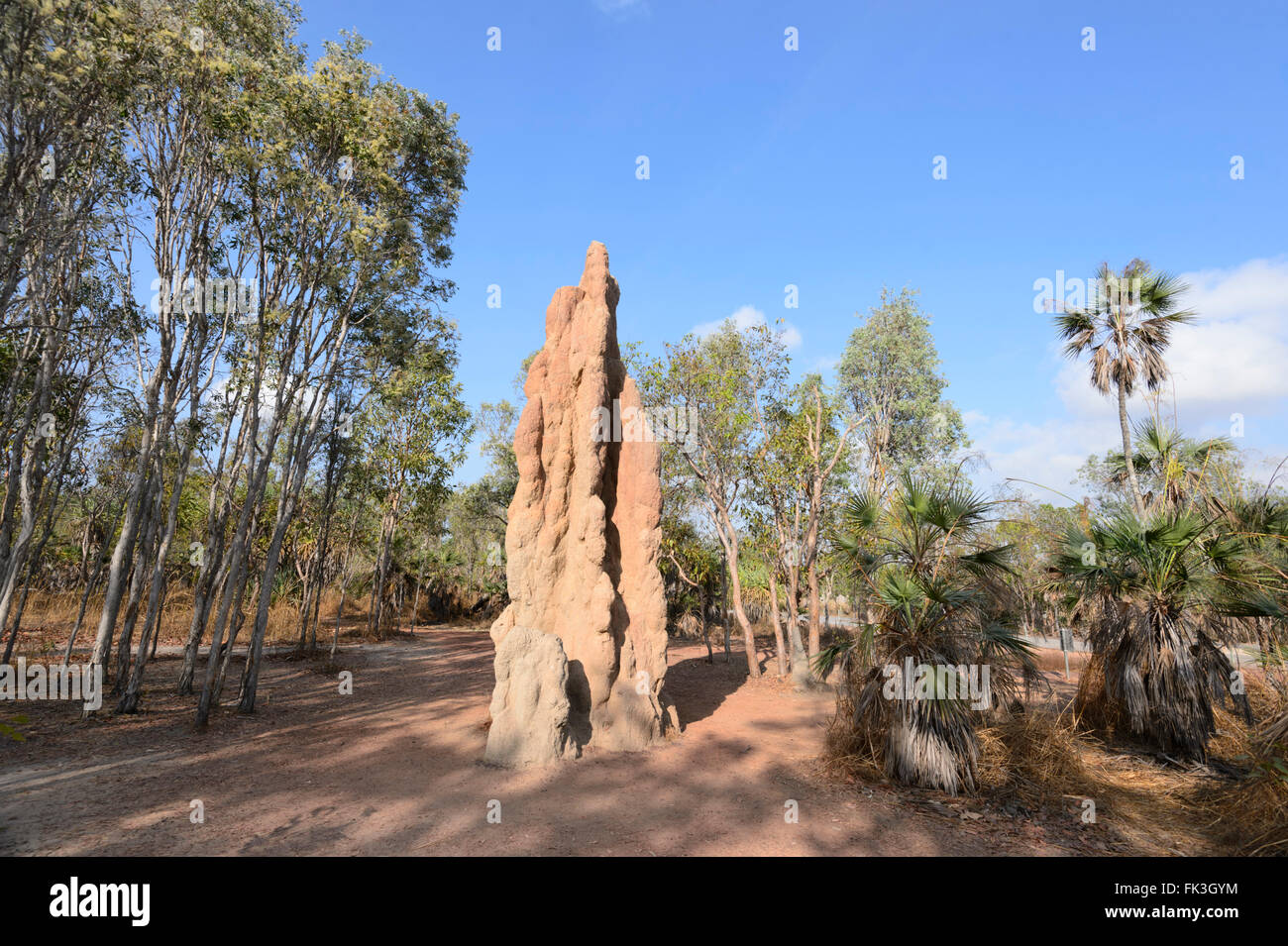 Cathedral Termite Mound, Litchfield National Park, Northern Territory, Australia Stock Photo