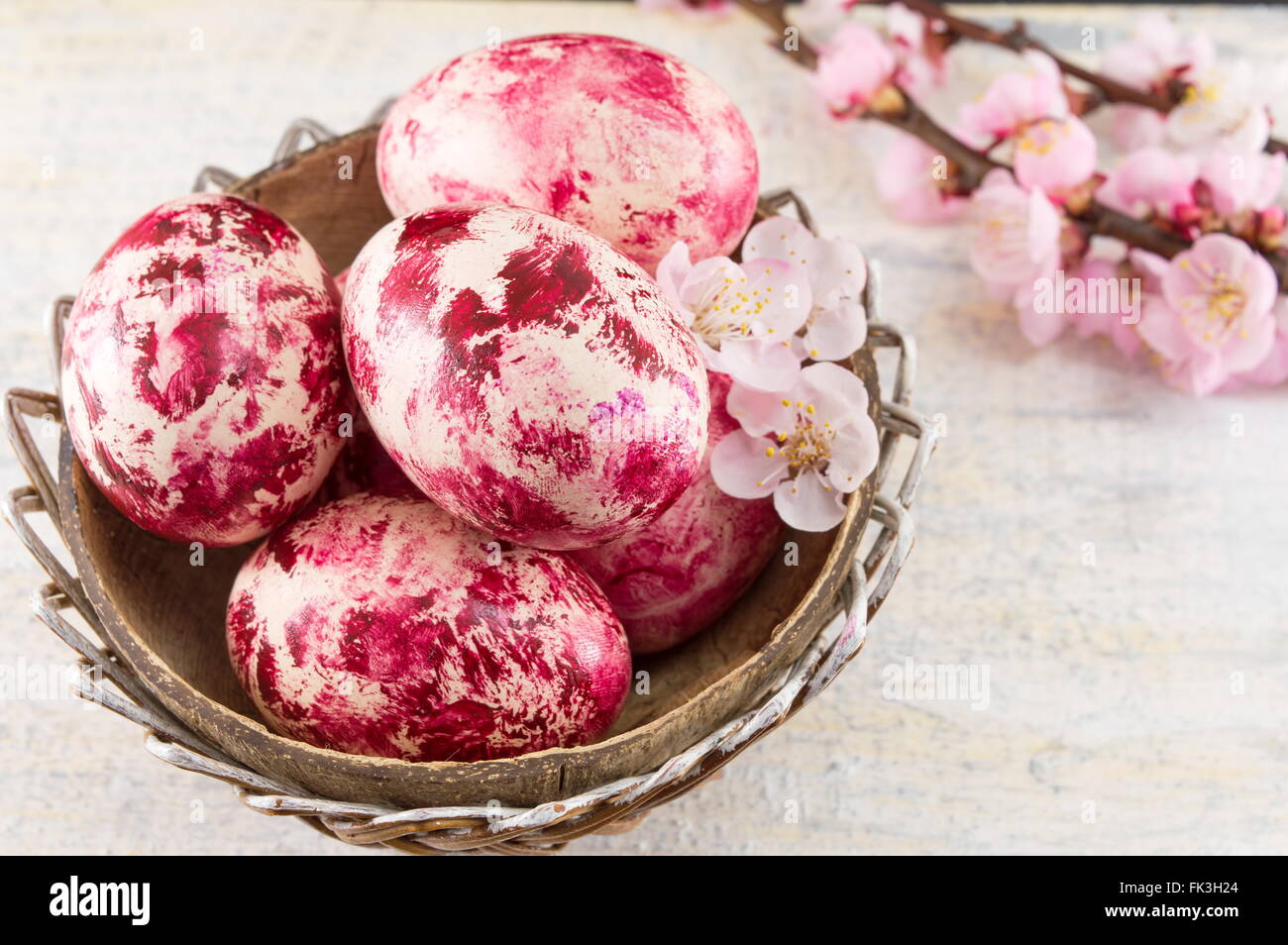 Decorated Easter eggs and fresh cherry blossom tree Stock Photo