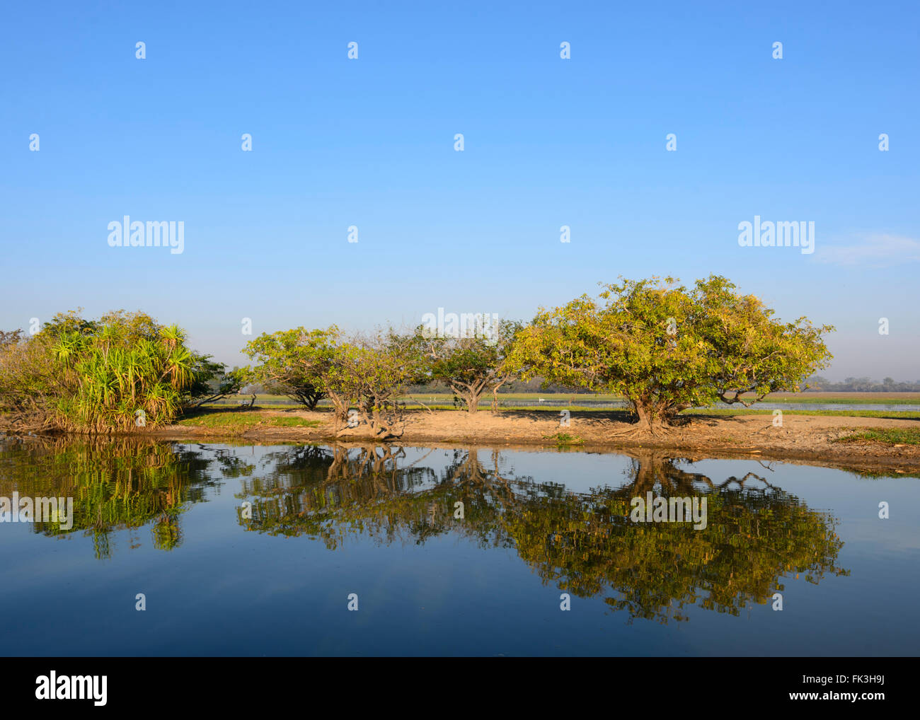 Yellow Water Billabong, Kakadu National Park, Northern Territory, NT ...