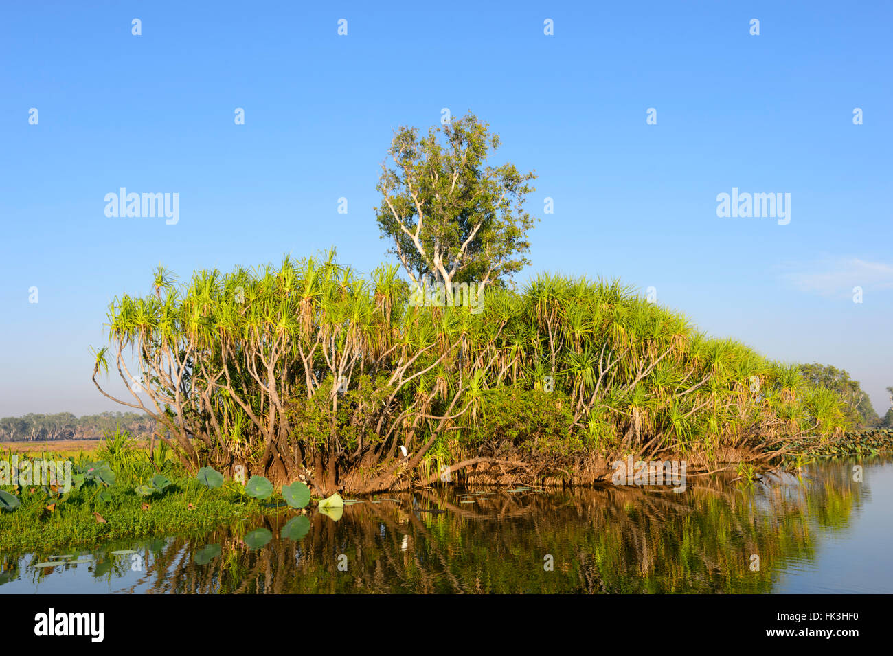 Yellow Water Billabong, Kakadu National Park, Northern Territory, NT ...