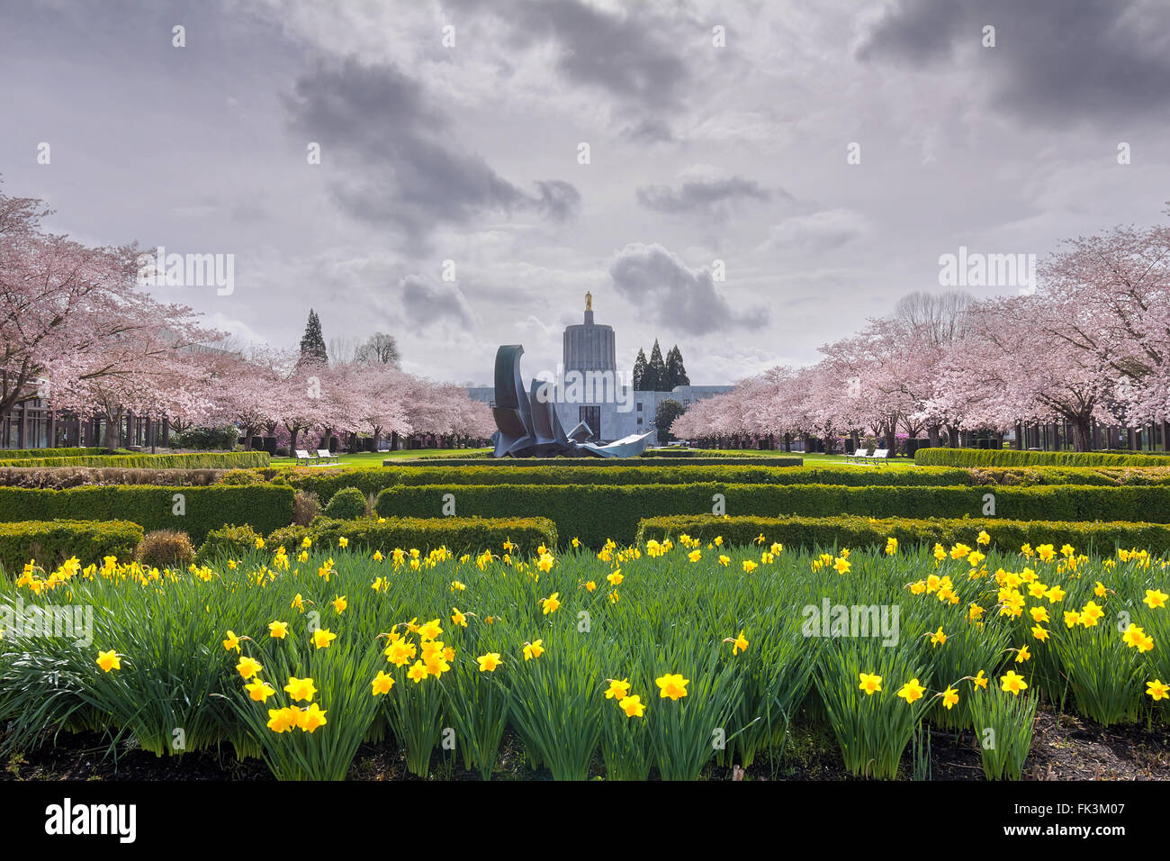 Oregon State Capitol Building in Salem Oregon with Daffodil flowers  and cherry blossom trees in spring season Stock Photo