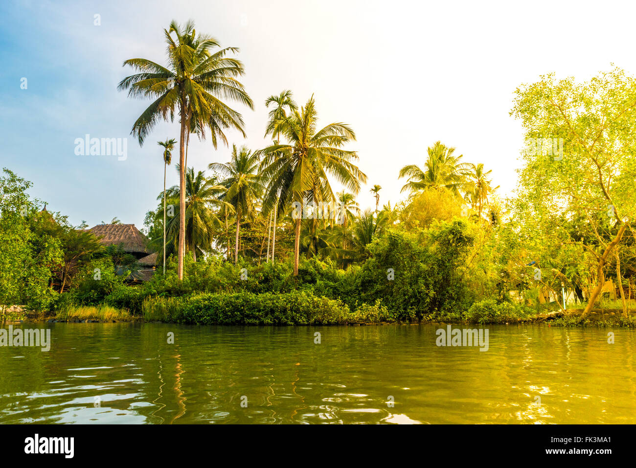 Palm trees on sea shore at beautiful sunny day Stock Photo - Alamy