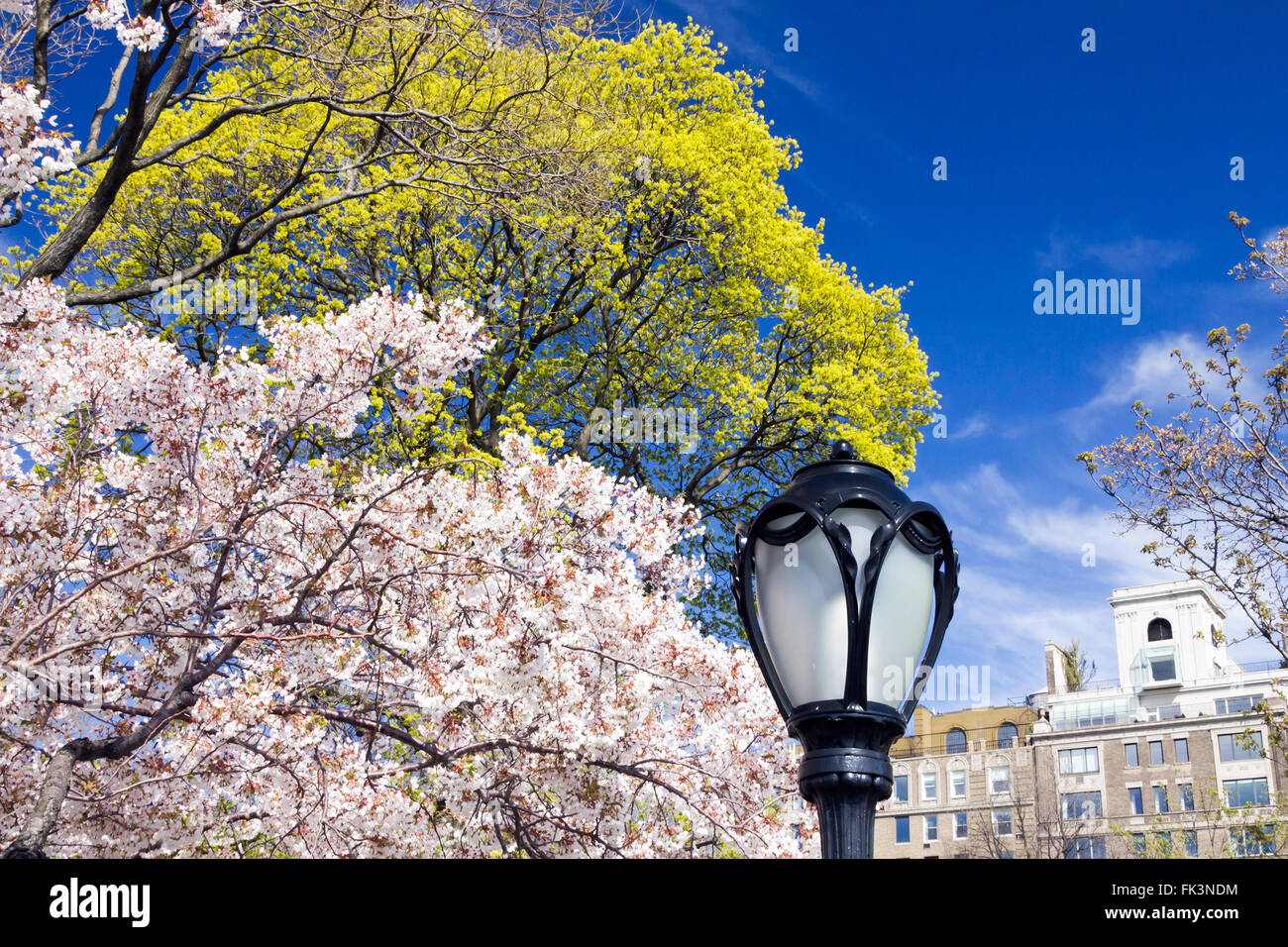 Central park flowers manhattan new hi-res stock photography and images ...