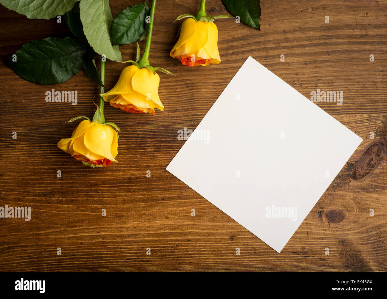 Roses on rustic wooden board with empty paper background. Stock Photo