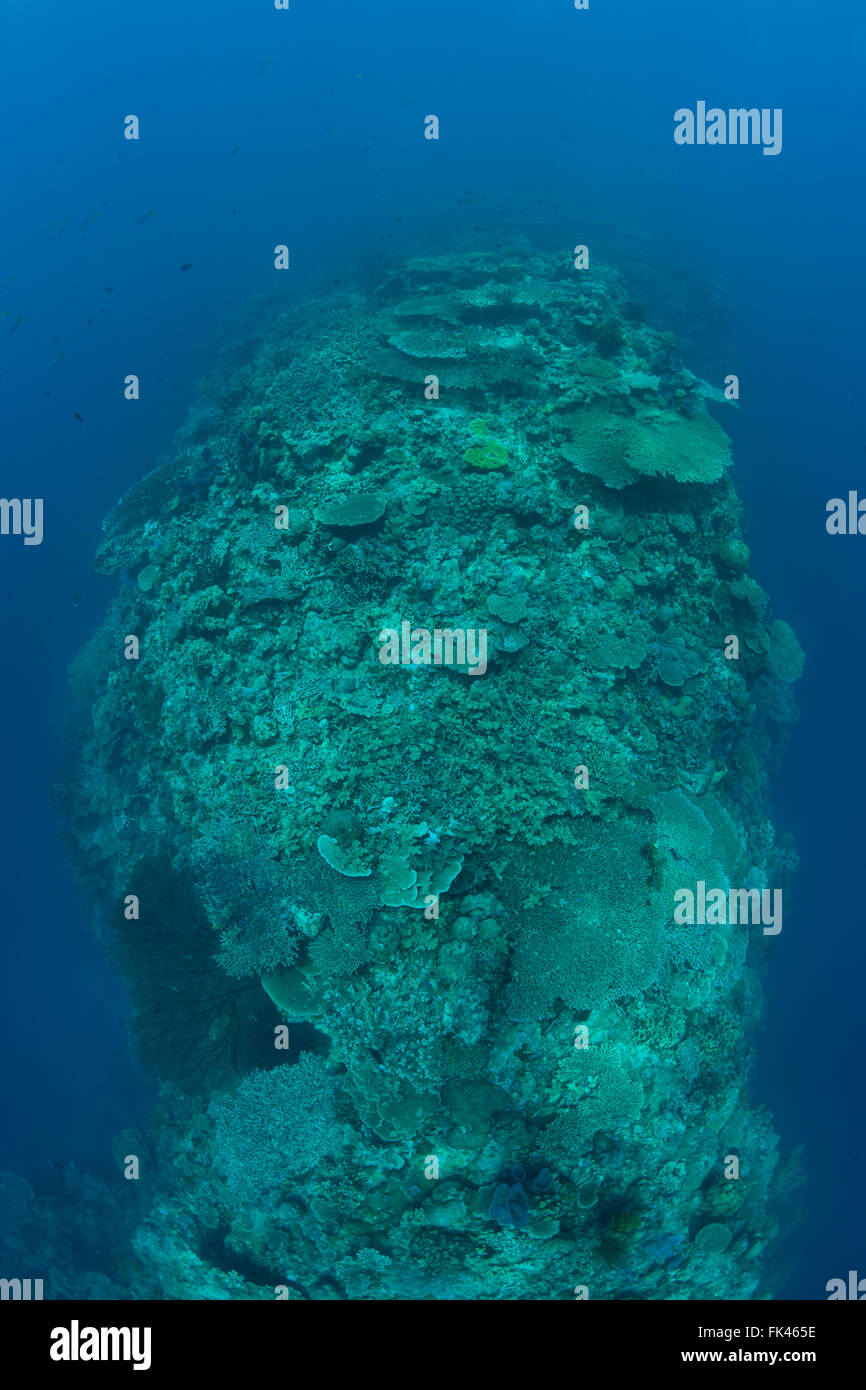 Drop off underwater hires stock photography and images Alamy