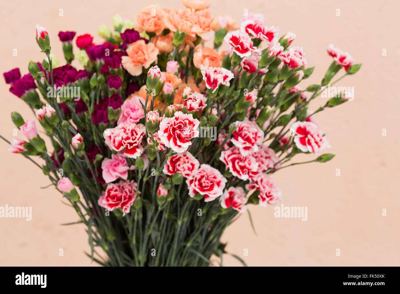 Pink and orange roses background Stock Photo - Alamy