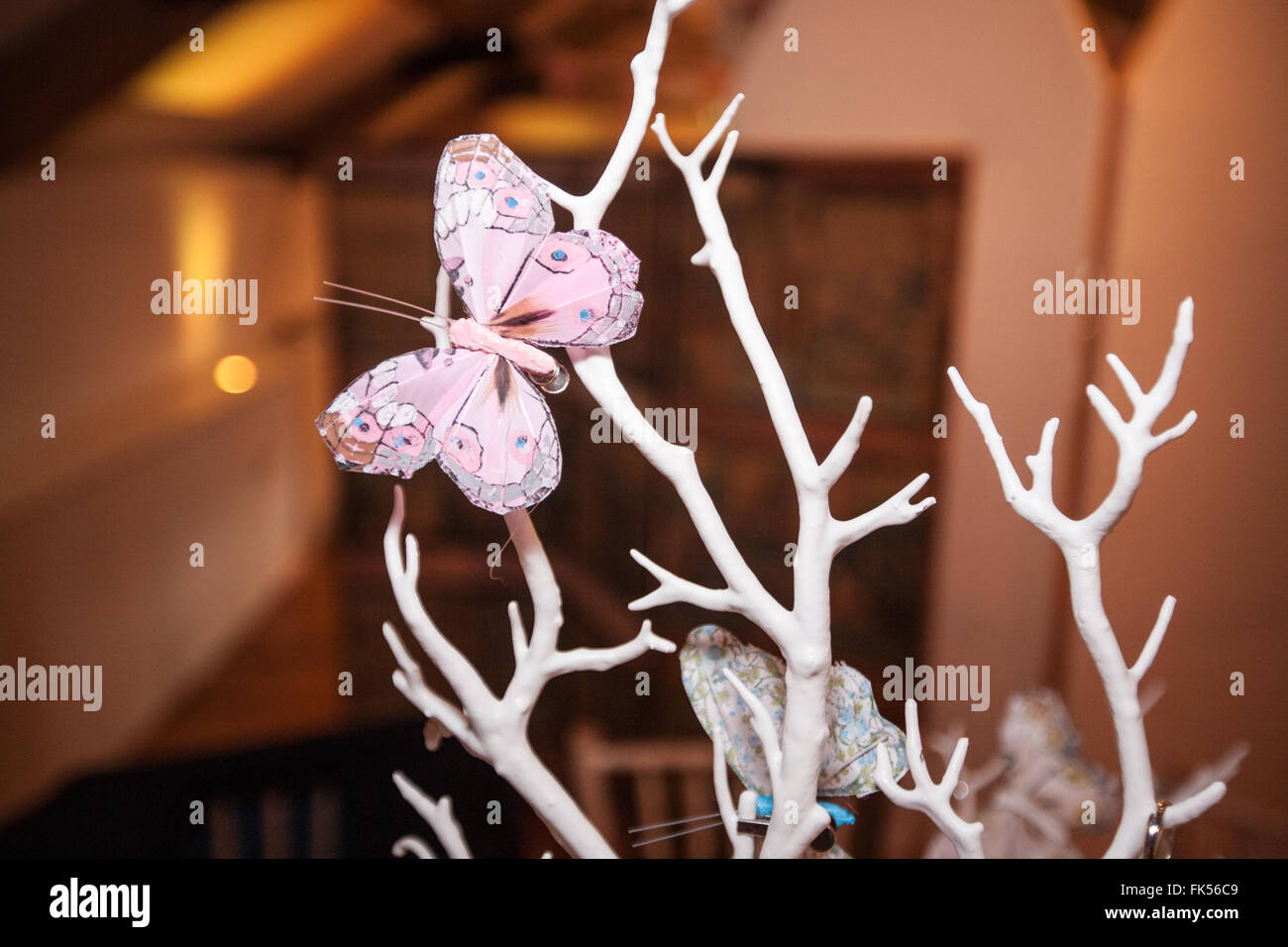 butterfly on wedding wish tree. wishes to the bride and groom put on tags by wedding guests Stock Photo