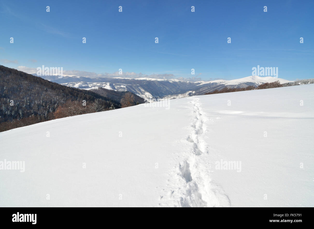 Tracks in deep snow. Carpathian mountains Stock Photo - Alamy