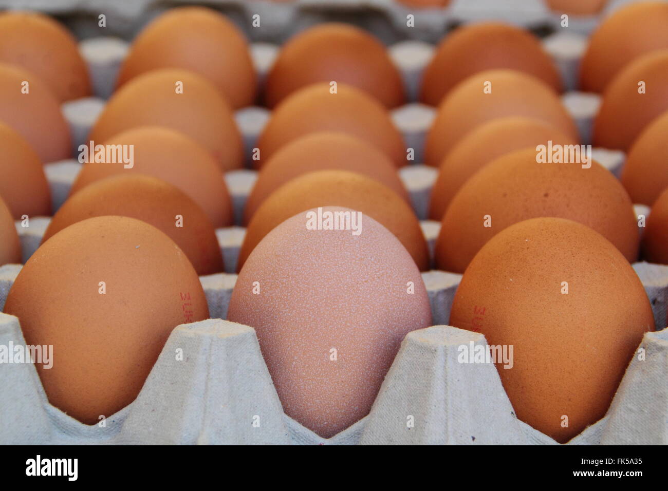 Free range hen eggs for sale on a market stall in England Stock Photo