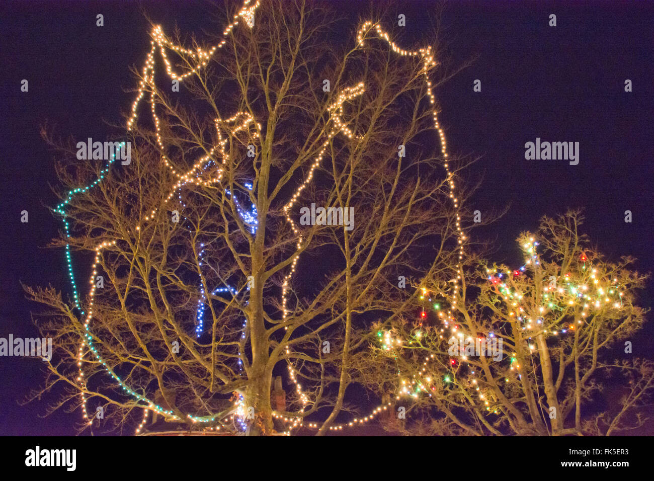 Christmas lights in trees Stock Photo
