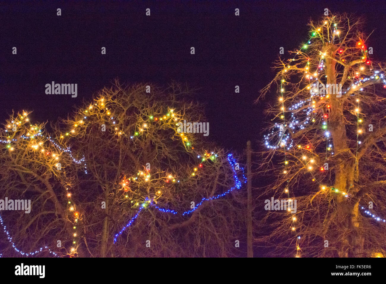 Christmas lights in trees Stock Photo