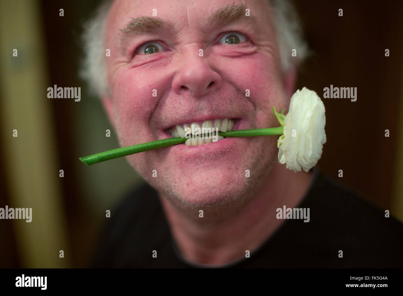 A man holds a flower in his teeth Stock Photo