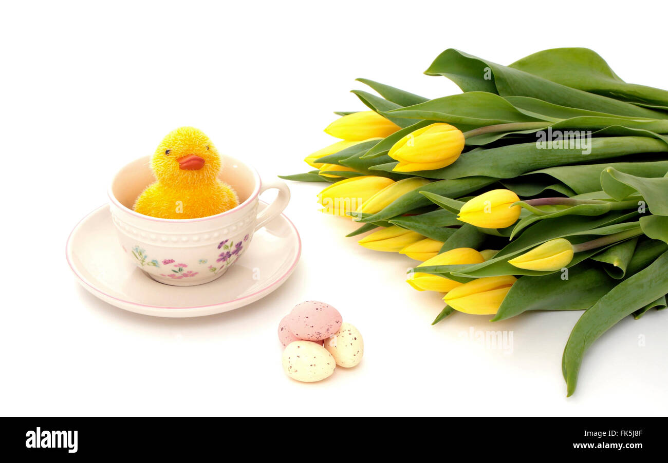 A little chicken in a cup with easter eggs and yellow tulips Stock Photo
