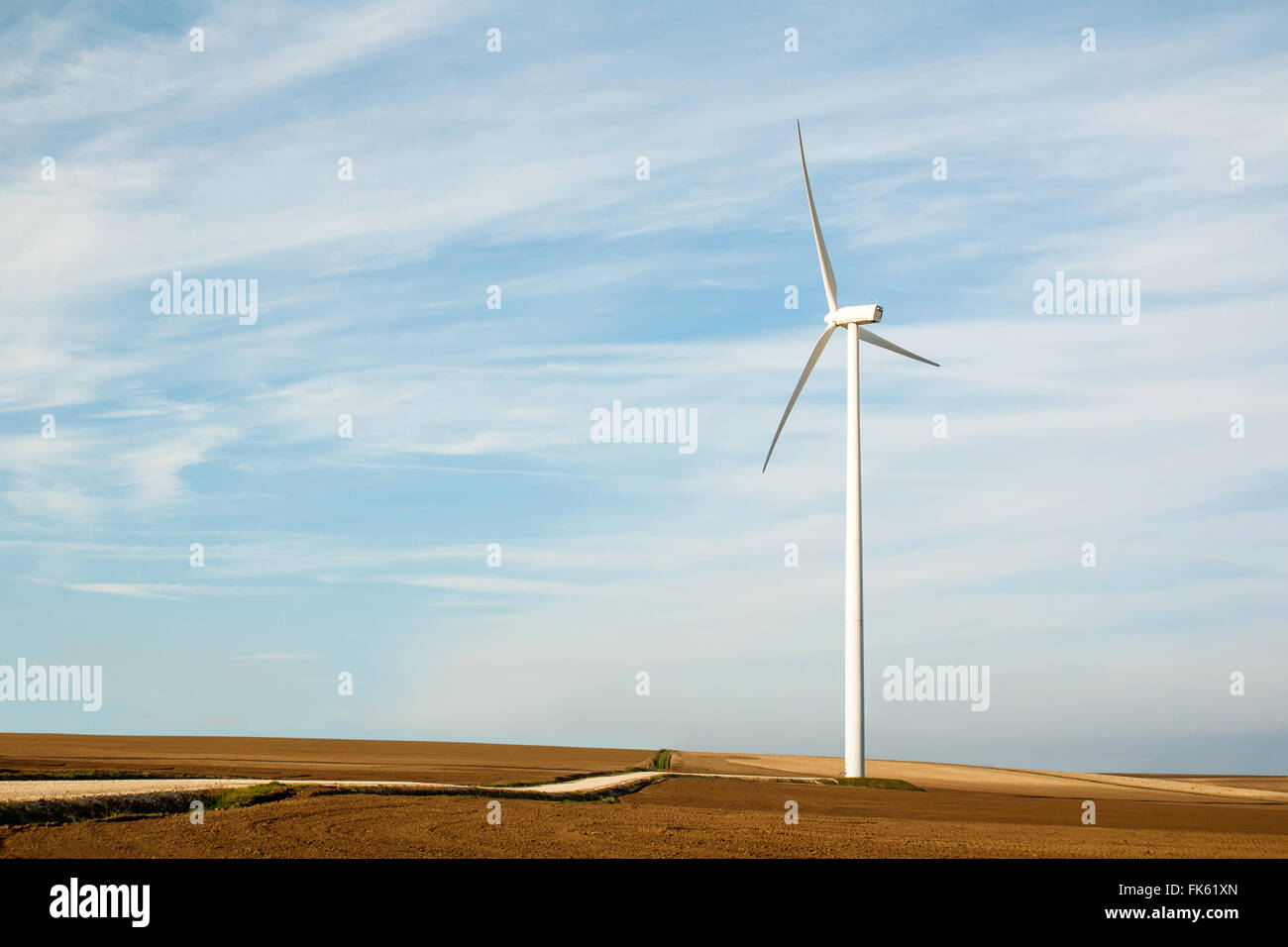 Wind power plant on field, alternative electricity Stock Photo