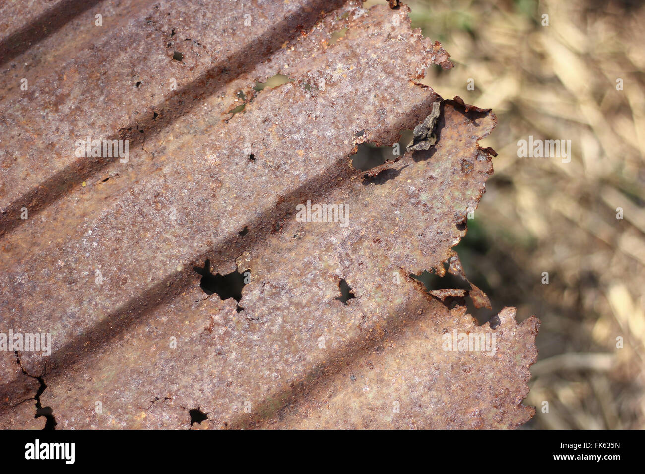 Close up of decay  tin roof. Stock Photo