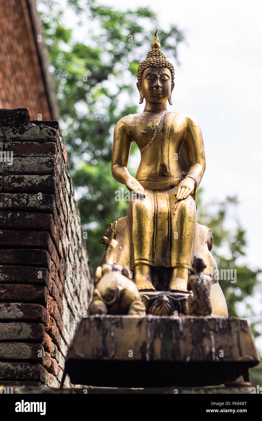 Buddha statue in Thai temple Stock Photo - Alamy