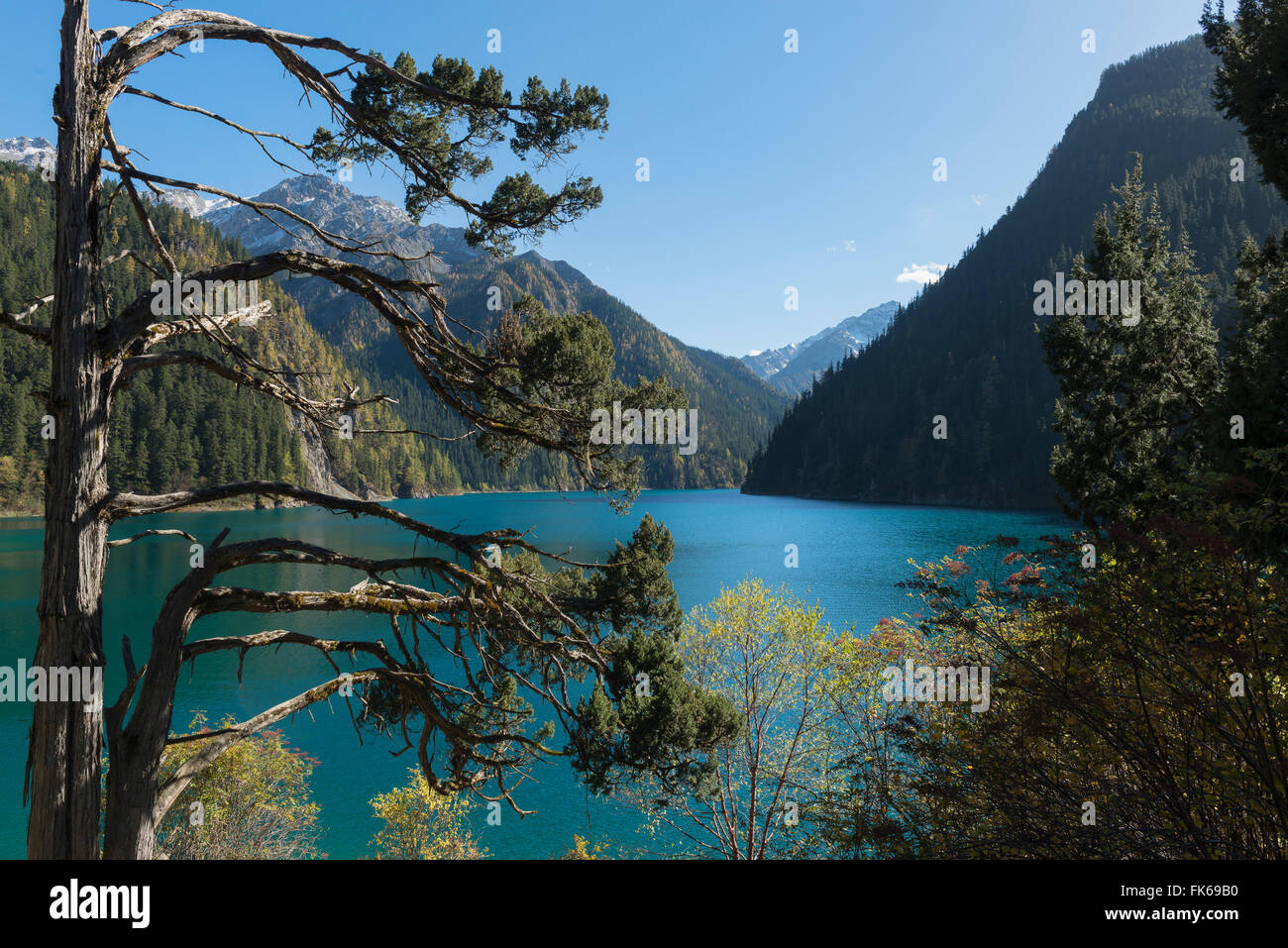Long Lake, Jiuzhaigou National Park, UNESCO World Heritage Site, Sichuan Province, China, Asia Stock Photo