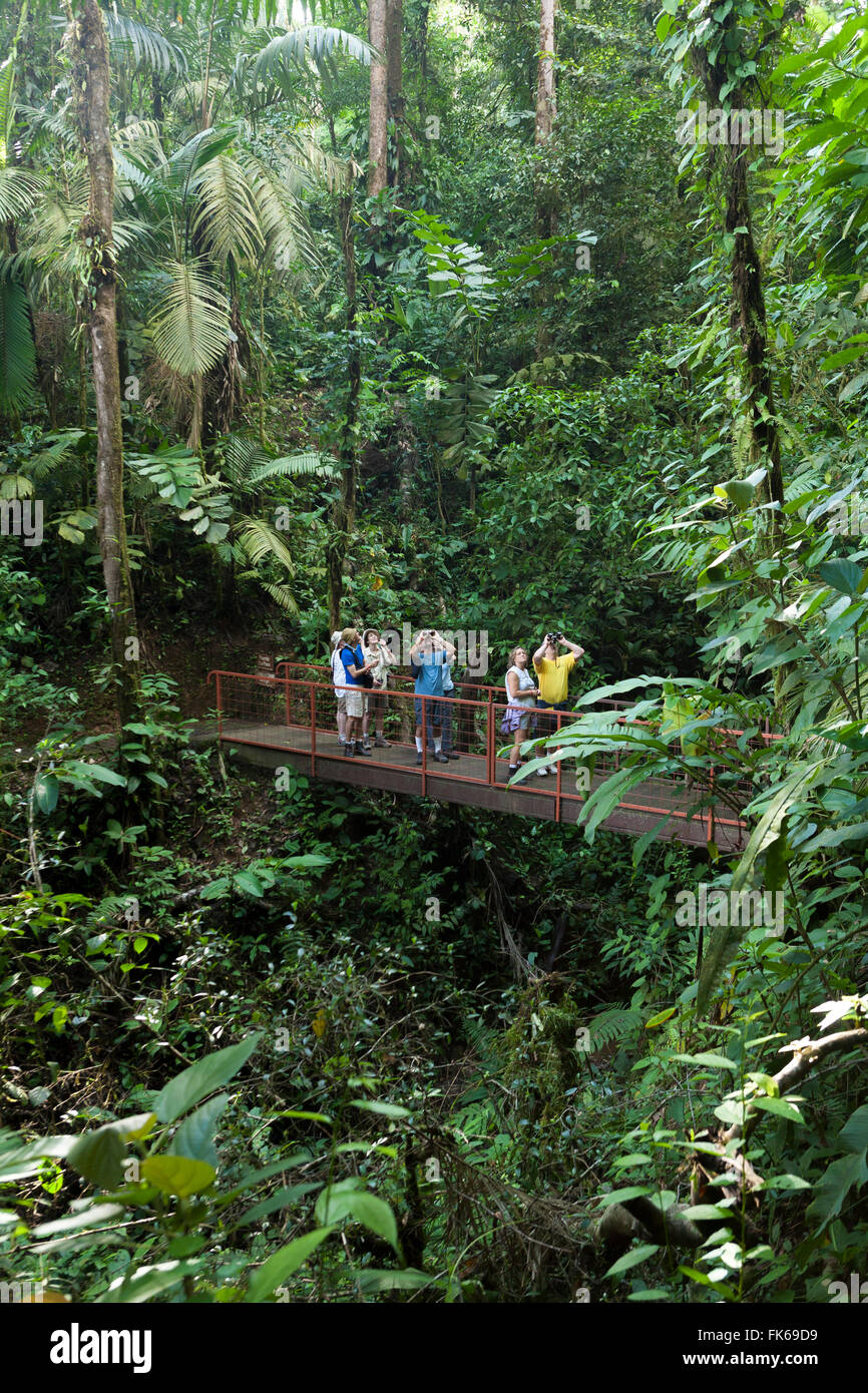 Birdwatchers, Mistico Arenal Hanging Bridges, Alajuela, Costa Rica, Central America Stock Photo