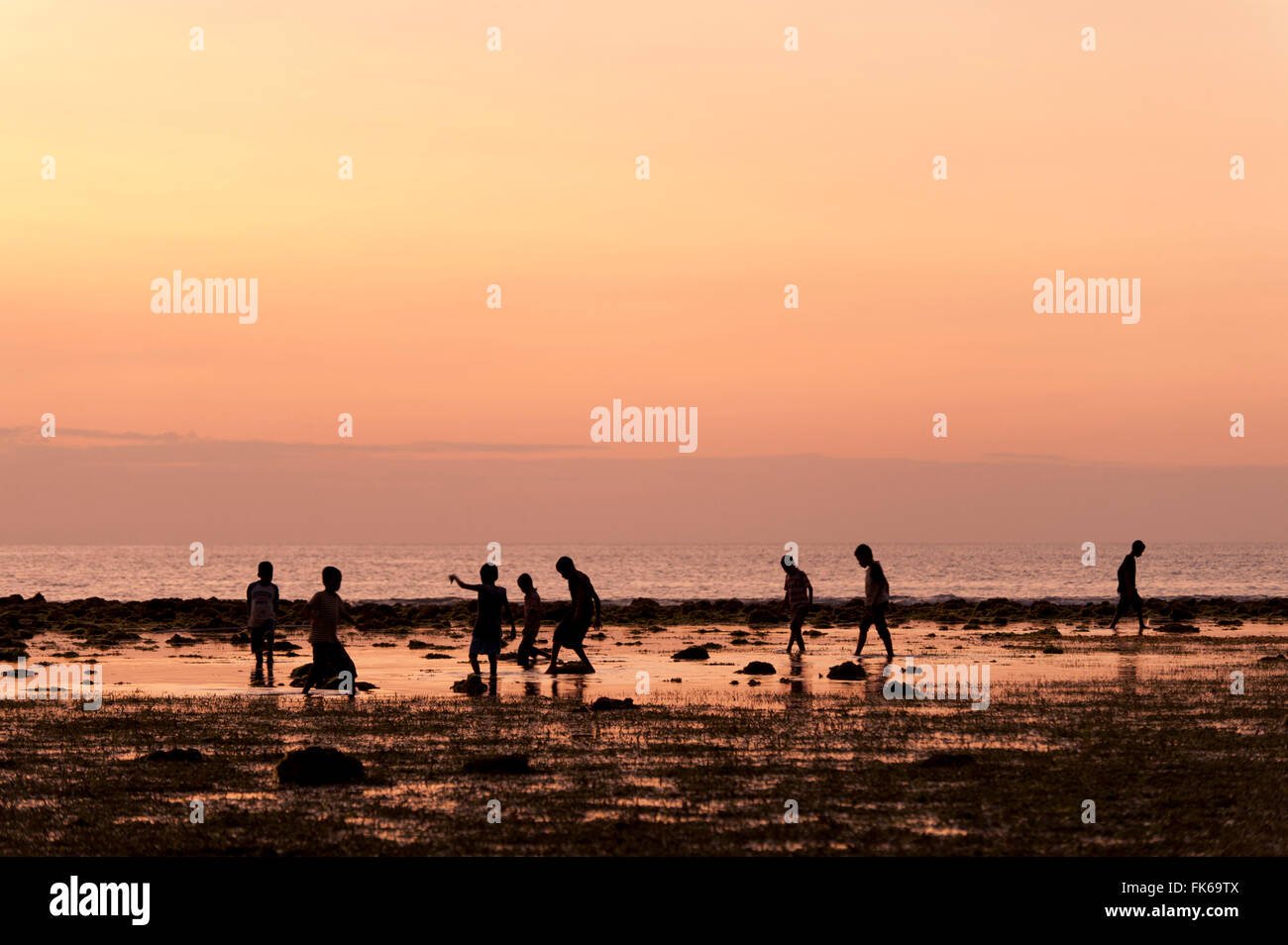 Gleaning is done every low tide when the shallow reefs are easily accessible for people to walk out and gather marine life along Stock Photo