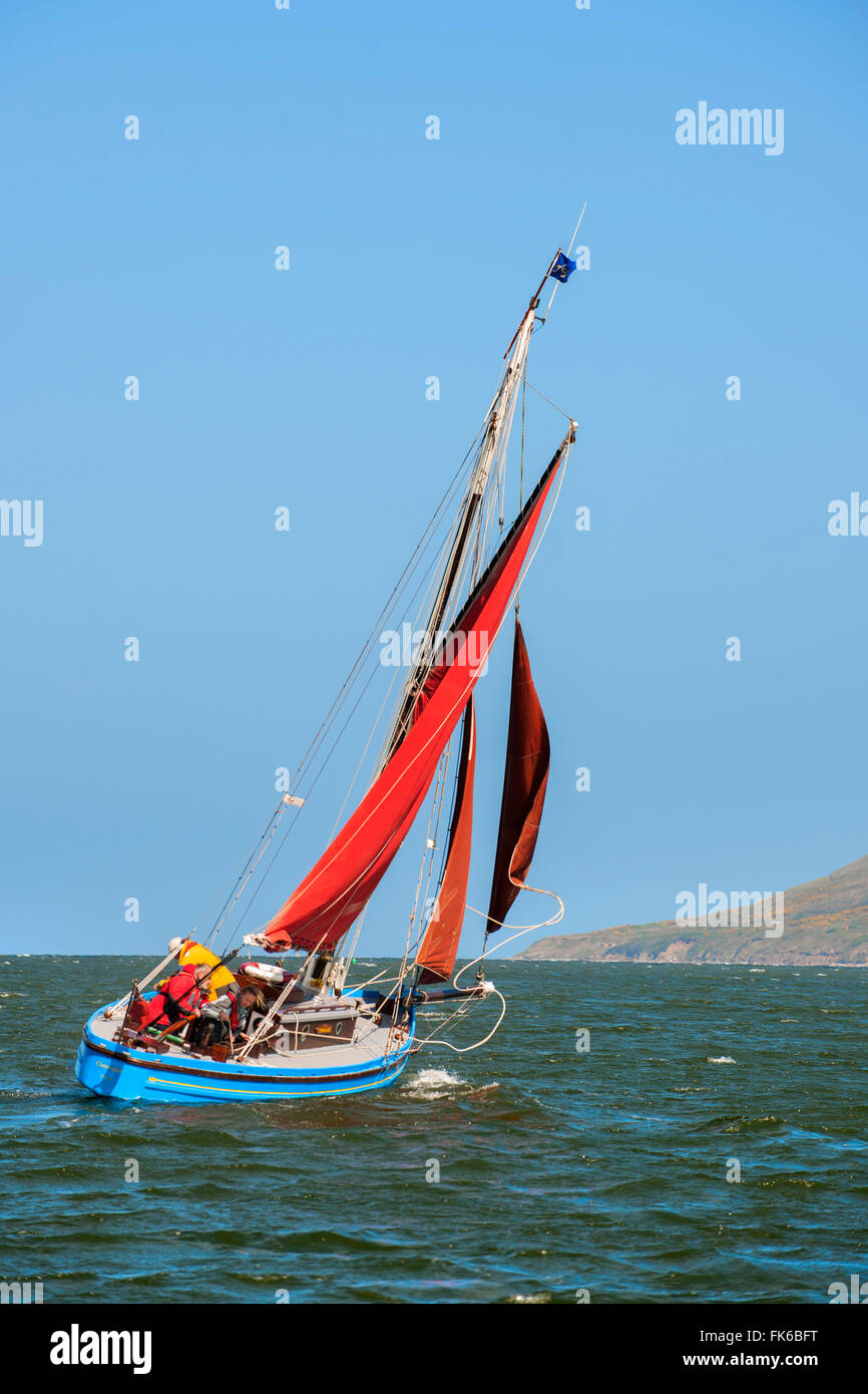 Sailing on a traditional Morecambe Bay prawn boat (prawner), United Kingdom, Europe Stock Photo