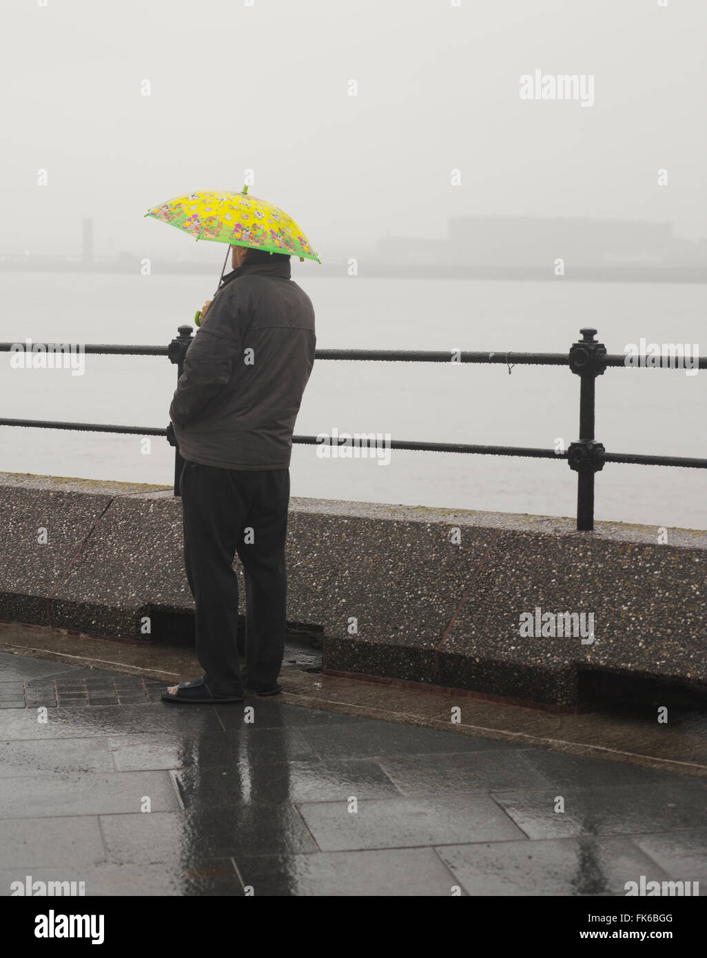 A man waits in the rain under a childs umbrella, United Kingdom, Europe Stock Photo