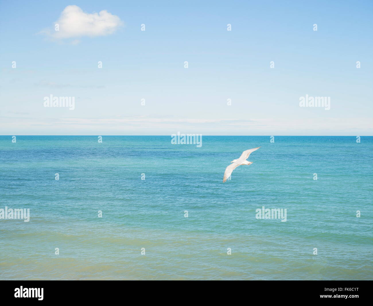 Two people in a wide open sea, New Quay, West Wales, United Kingdom, Europe Stock Photo